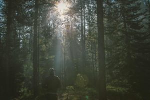 A photo by Dustin Scarpitti. unsplash.com/photos/eWBseWsTEpA